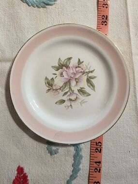 Homer Laughlin Eggshell Nautilus floral plate, pink trim, glossy, 7 in USA